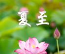 夏至｜夏至于斯，荷韵锦鲤知