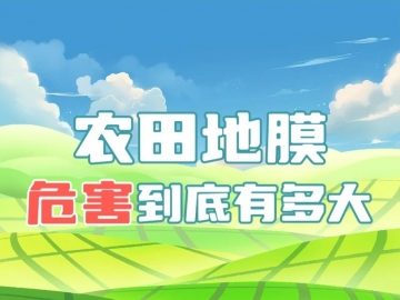 科普宣传 | 农田地膜危害到底有多大