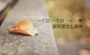情感| 两座山峰之间，1380 米的爱