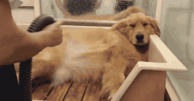 ytv=BTfQhmV4UaBRfjt804zbuDk5ataG5sNvmbxWsalha1558397633920.gif