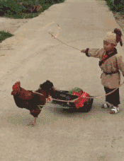 9402b6cb88cb42f486680014a4f381bb.gif