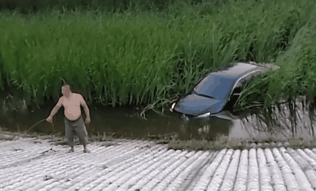 微信图片_20190730083231.gif