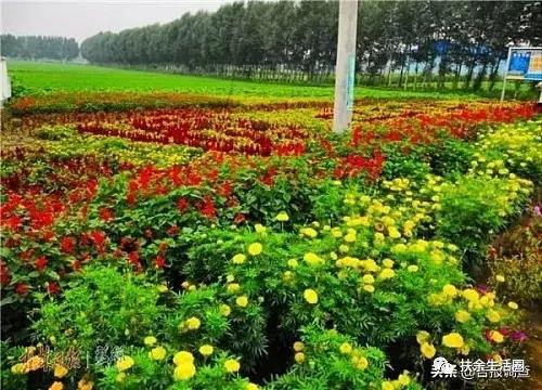 微信图片_20190903082937.jpg