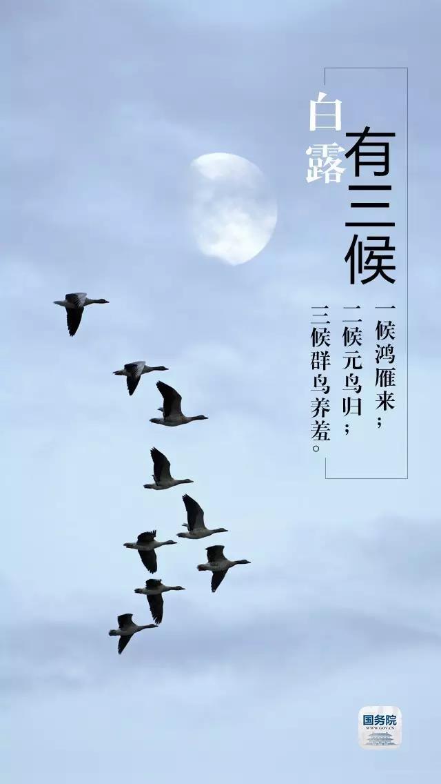 微信图片_20190908101407.jpg