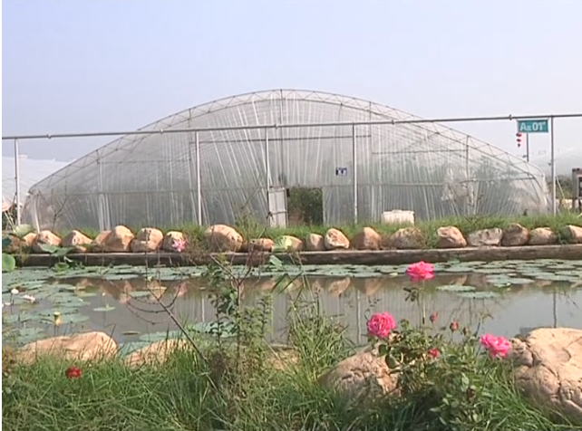 微信图片_20190909110737.png