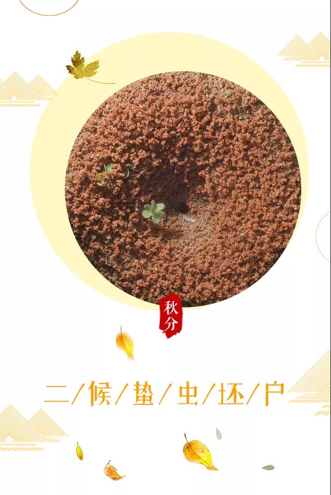 微信图片_20190923154100.jpg
