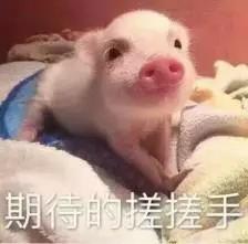 微信图片_20191003103742.jpg