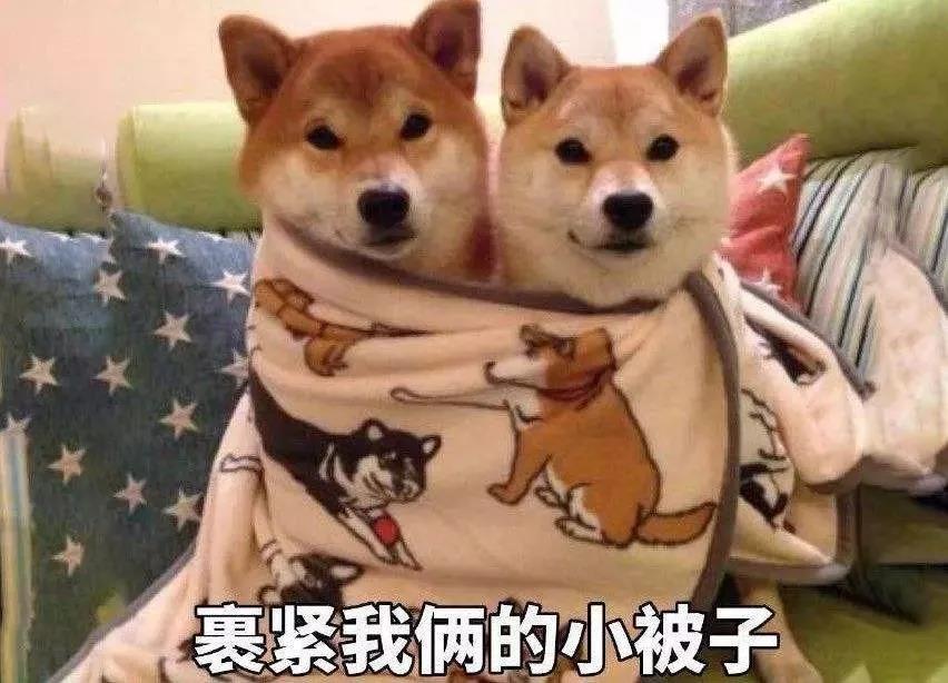 微信图片_20191004100014.jpg