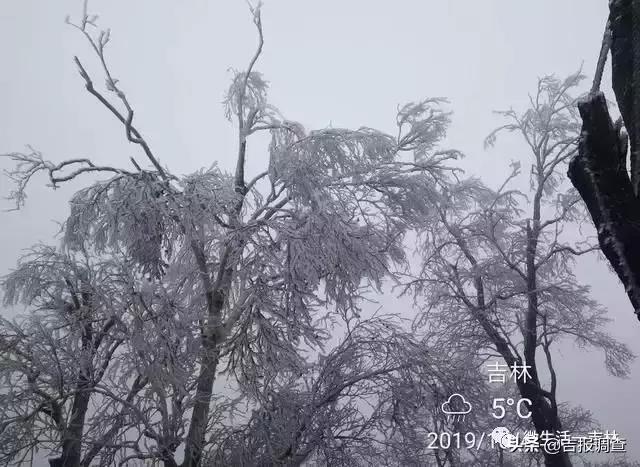 微信图片_20191006144253.jpg