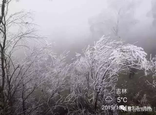 微信图片_20191006144258.jpg