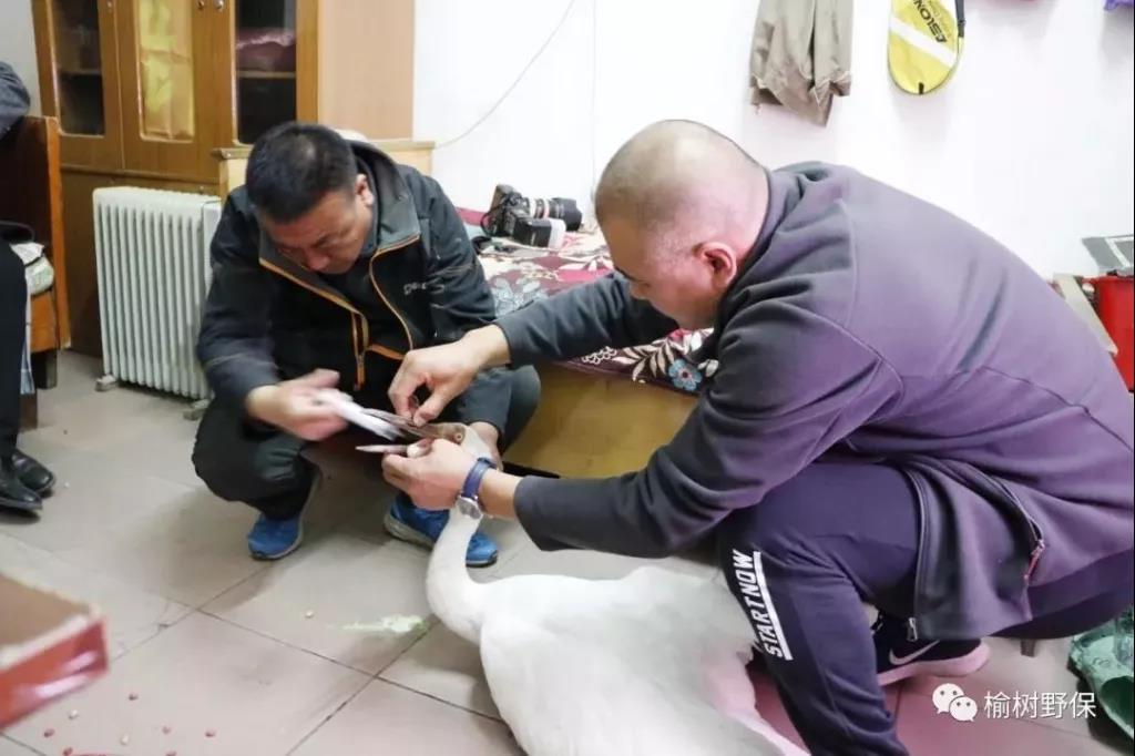 微信图片_20191014094541.jpg