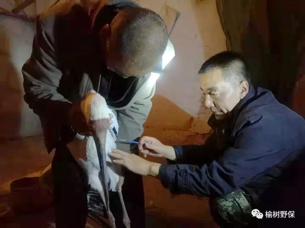 微信图片_20191014094605.jpg