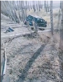 微信图片_20191022102621.png