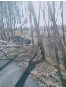 微信图片_20191022102617.png