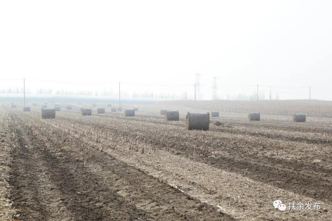 微信图片_20191025102807.jpg