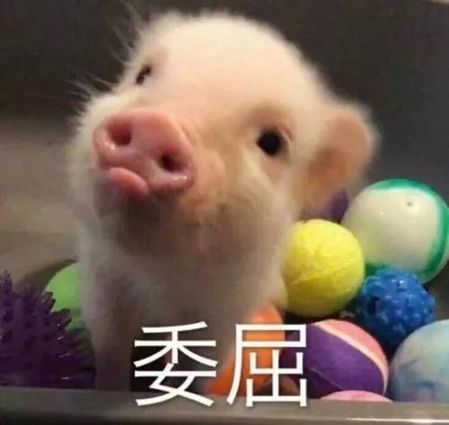 微信图片_20191102153848.jpg