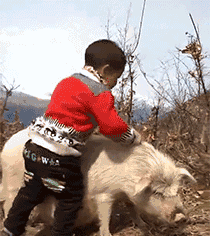 微信图片_20191102153918.gif