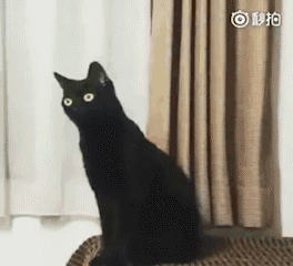 微信图片_20191104155031.gif