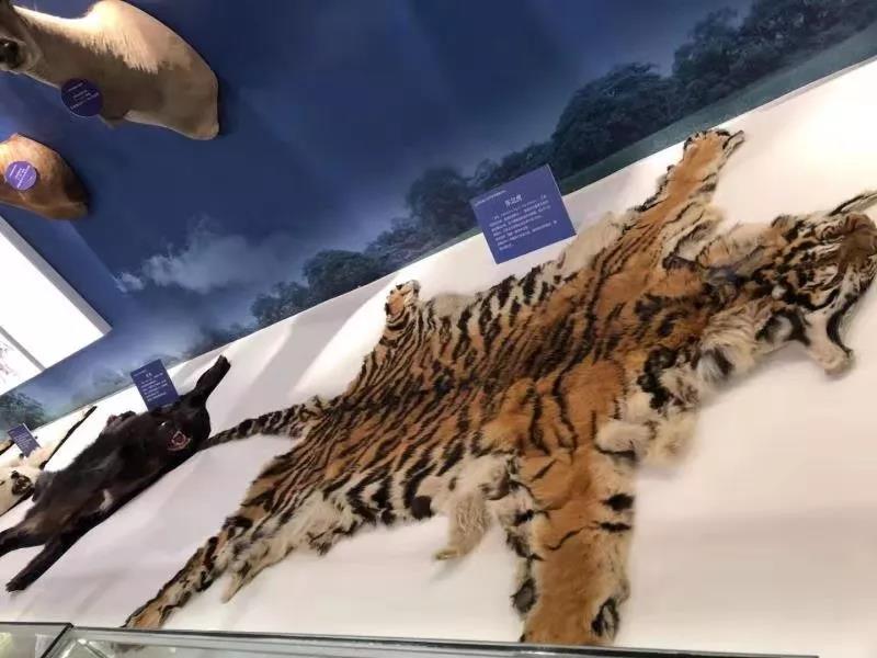 微信图片_20191105105806.jpg