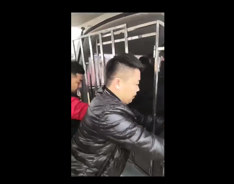 微信图片_20191115102305.png