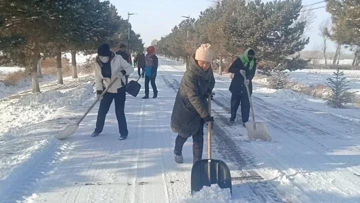 微信图片_20191119094524.jpg