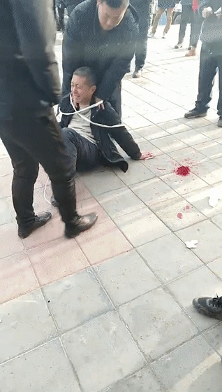 微信图片_20191209154425.gif