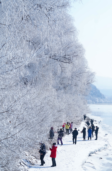 微信图片_20221224141548.png