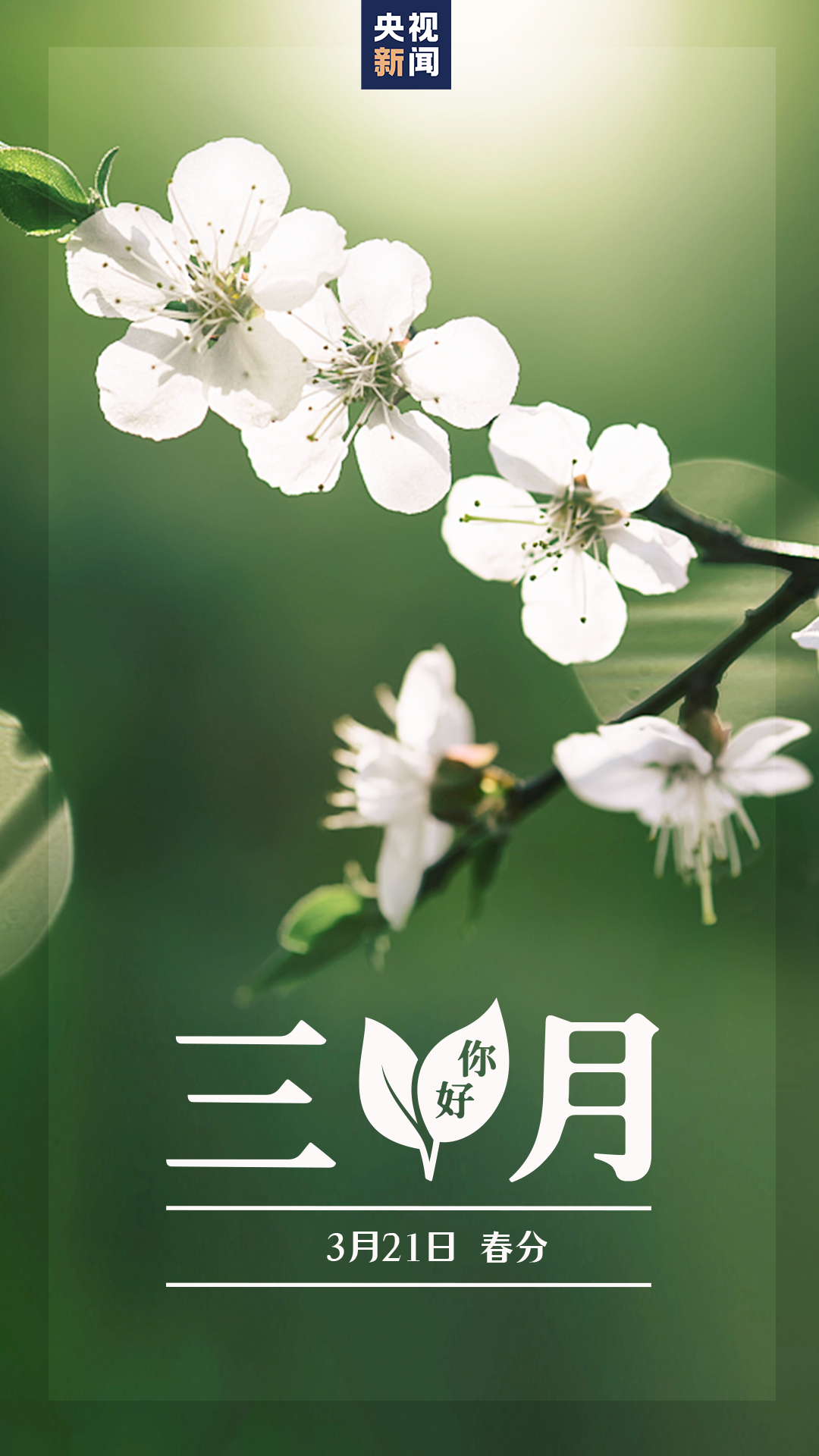 微信图片_20230301130646.png