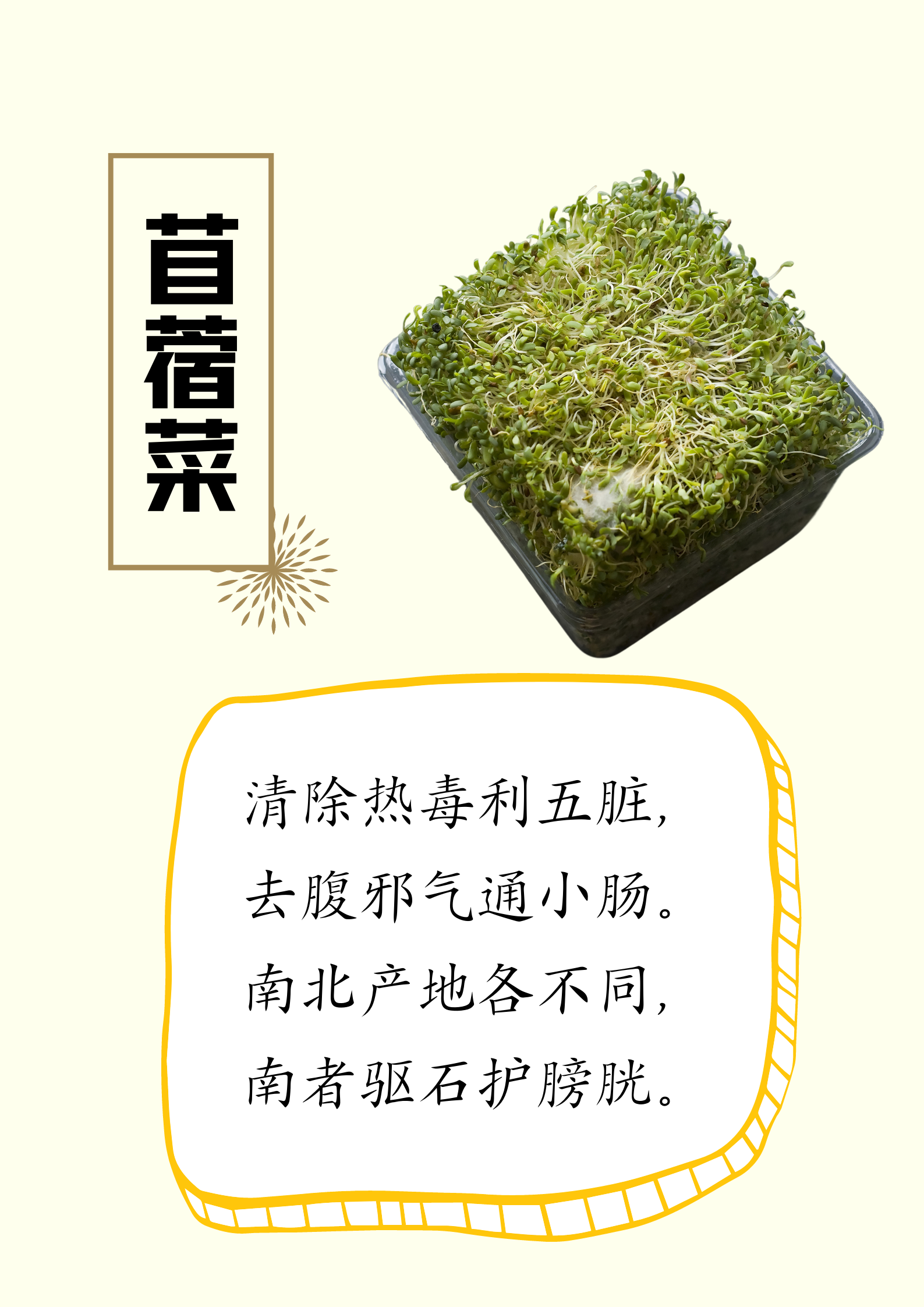 微信图片_20230511155249.png