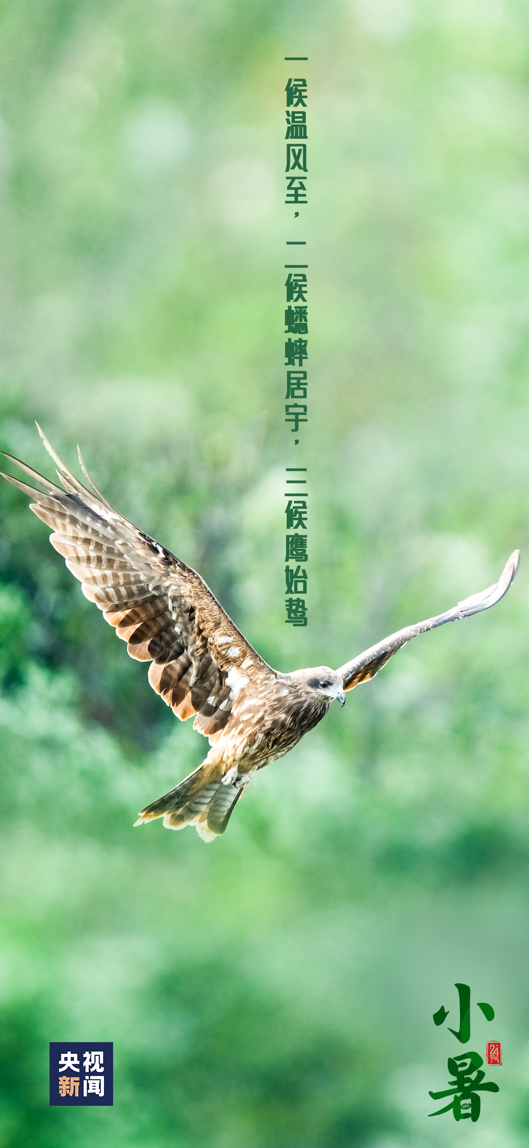 微信图片_20230707154647.png