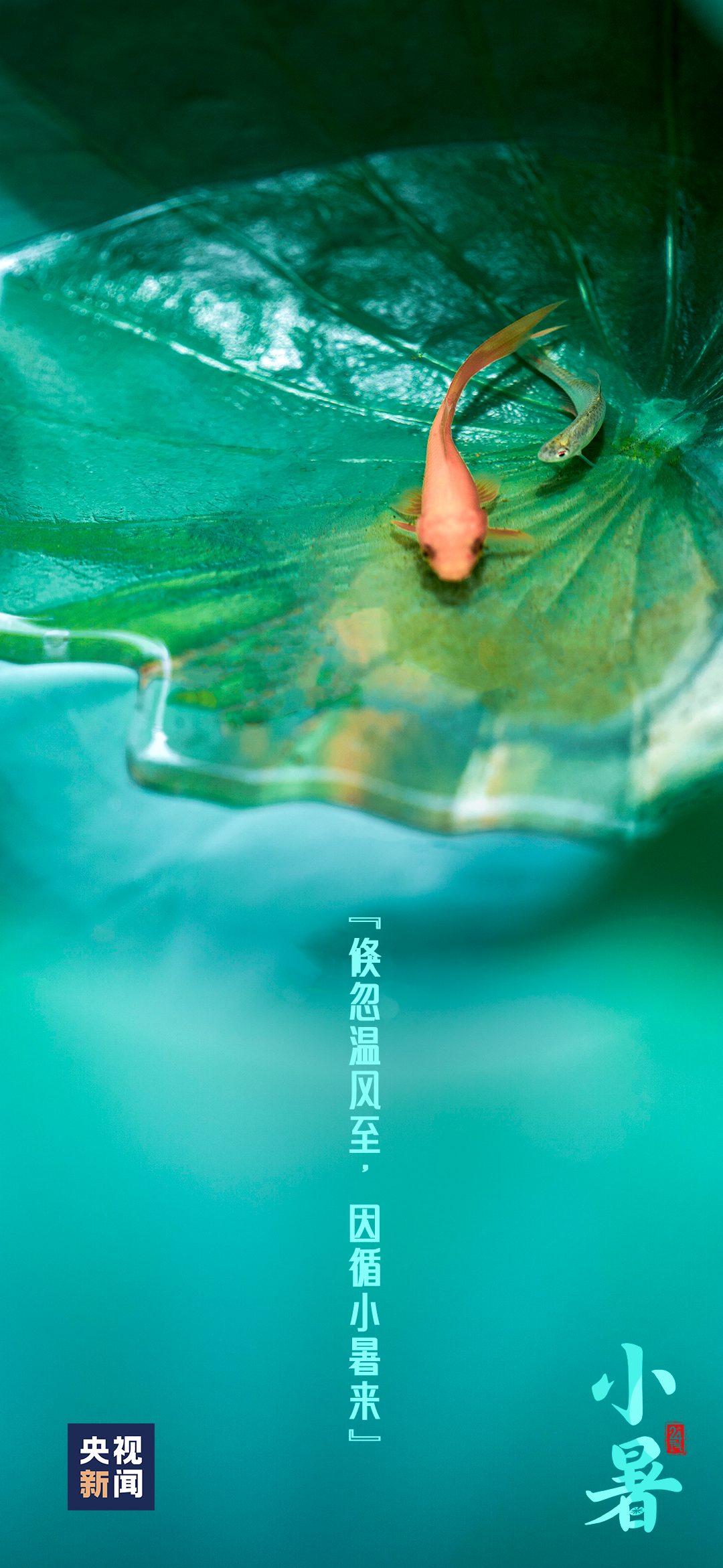 微信图片_20230707154650.png
