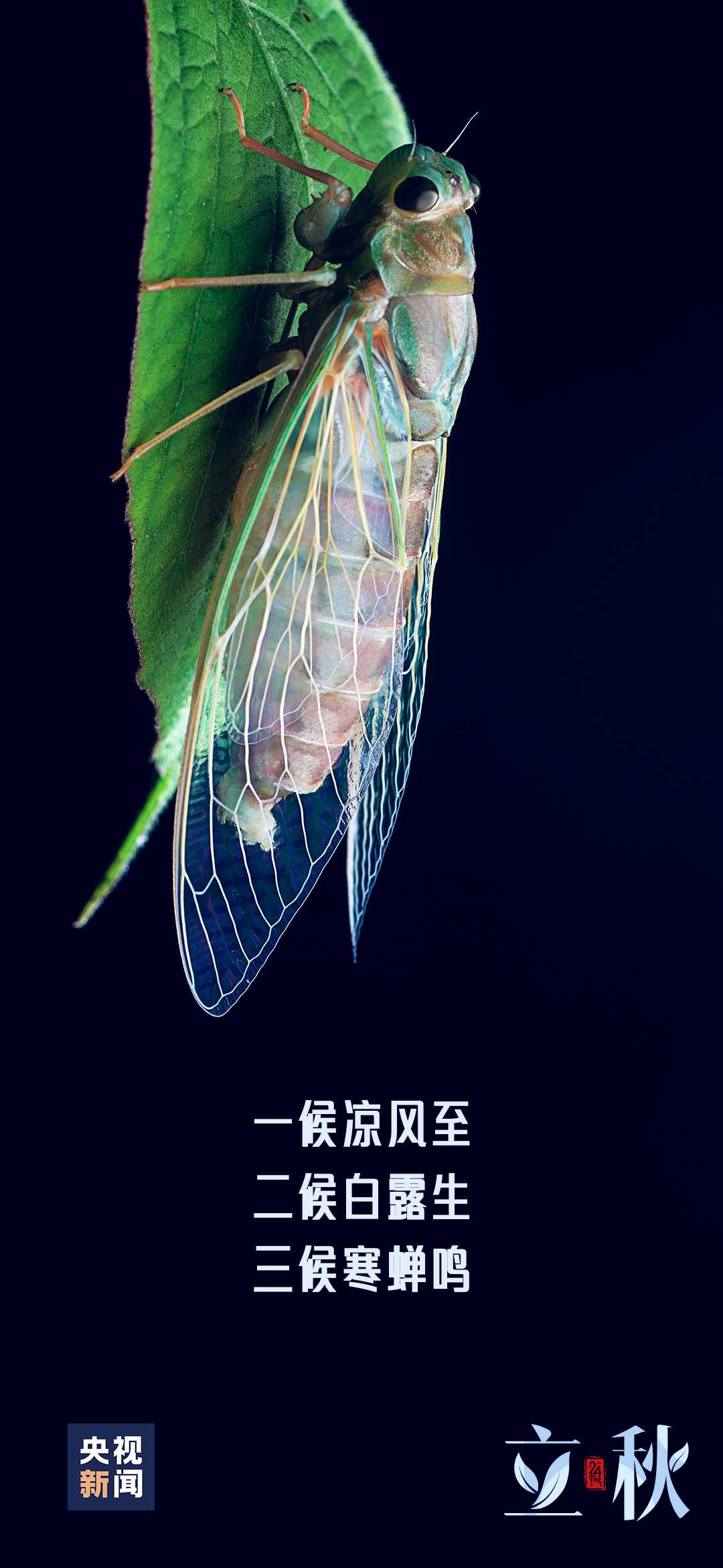 微信图片_20230808163727.png