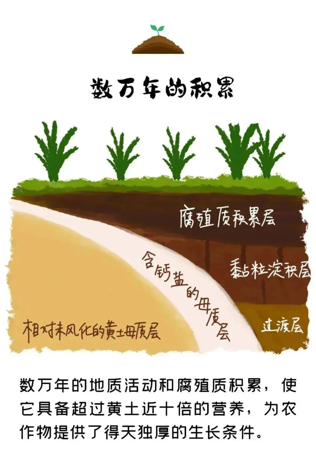 微信图片_20230829160543_1.jpg