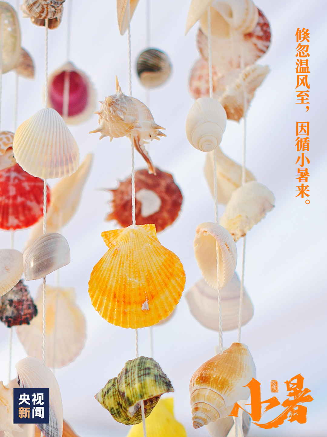 微信图片_20240706161439.png