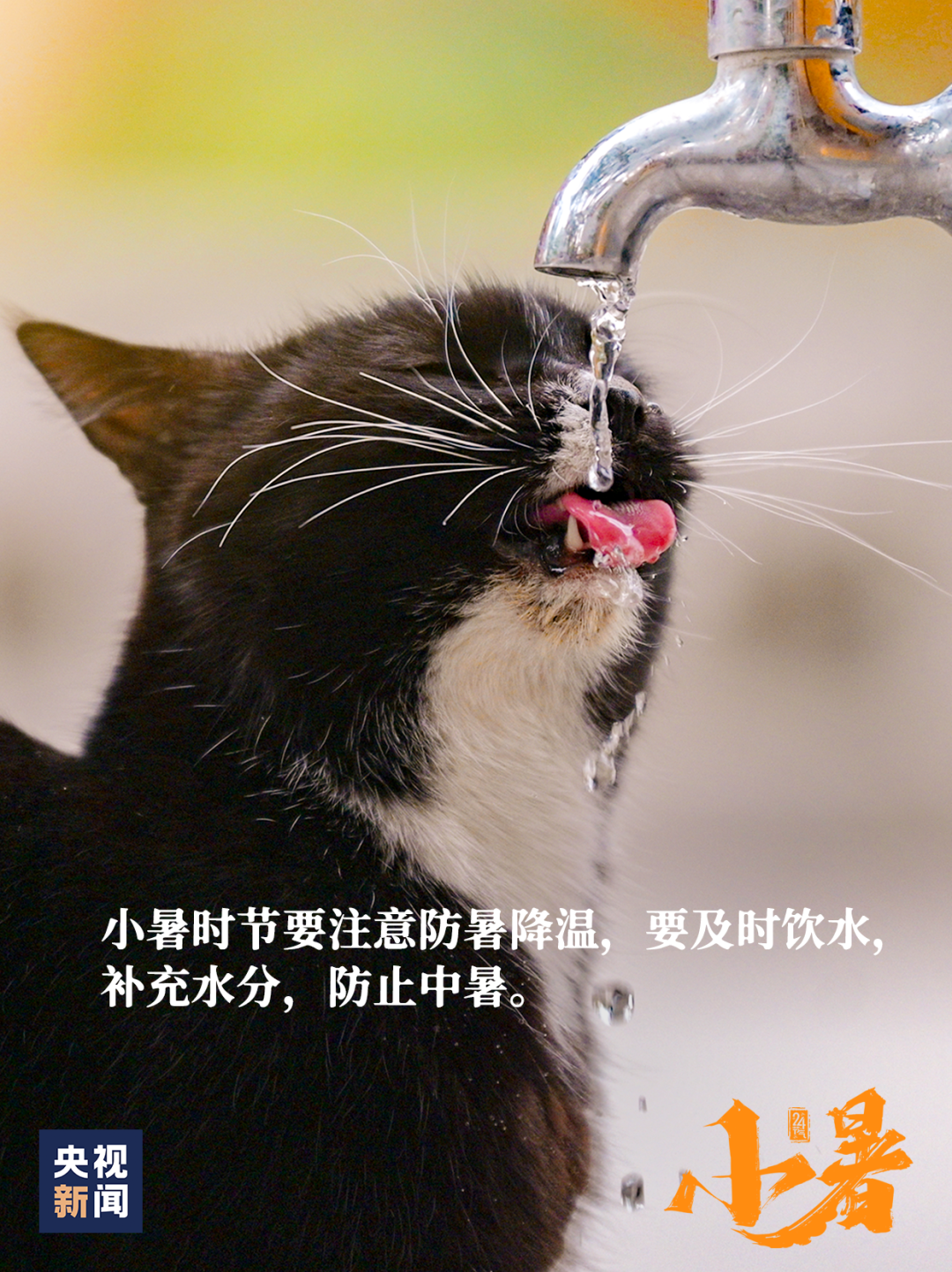 微信图片_20240706161451.png