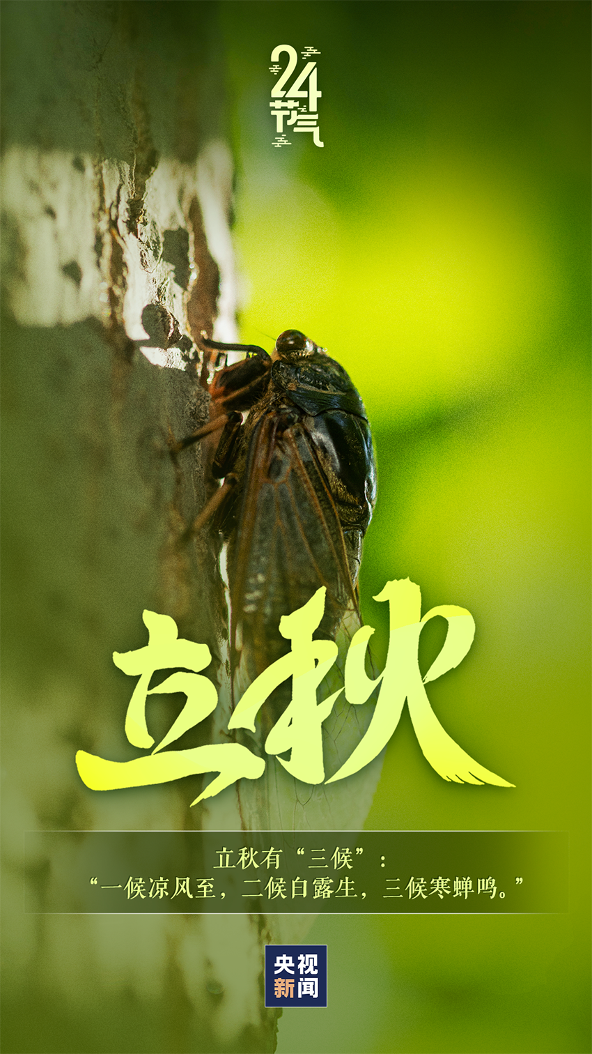 微信图片_20240807092737.png