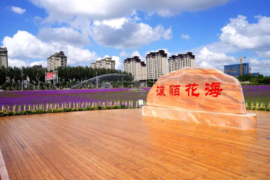 微信图片_20250211164705.jpg